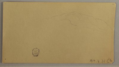 Disegno, Piante in fiore, 1856 ca. da Frederic Edwin Church