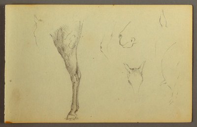 Disegno, Studi di cavalli, forse 1844 da Frederic Edwin Church