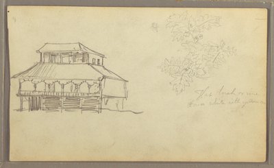 Disegno, Casa, Schizzo botanico, Ecuador o Colombia, 1857 da Frederic Edwin Church