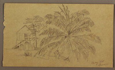 Disegno, Casa e Felce, maggio 1865 da Frederic Edwin Church