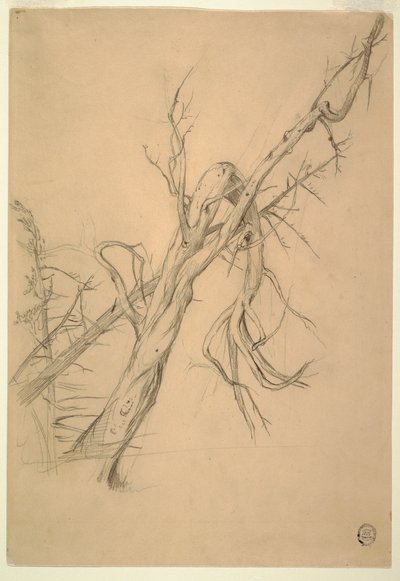 Disegno, accampamento indiano, Grand Manan, Baia di Fundy, settembre 1851 da Frederic Edwin Church