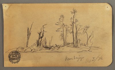Disegno, Isola, 1878 da Frederic Edwin Church