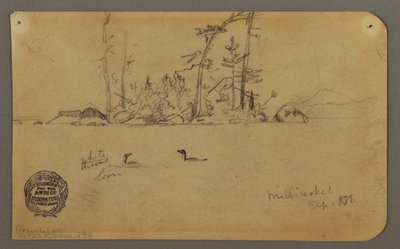 Disegno, Isola, Due loon, 1878 da Frederic Edwin Church