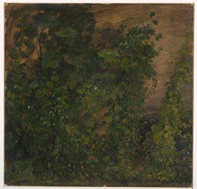 Disegno, Vegetazione della giungla, 1865 da Frederic Edwin Church