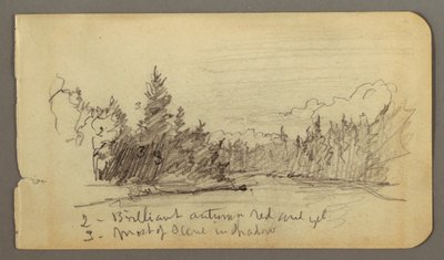 Disegno, Lago circondato da alberi, forse 1878 da Frederic Edwin Church