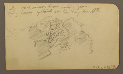 Disegno, Paesaggio, case; verso: cima dell