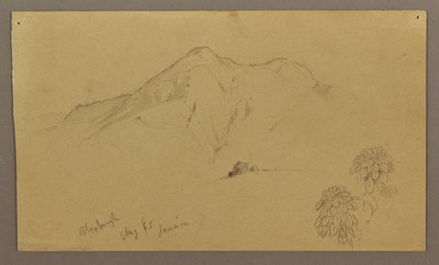 Disegno, Paesaggio, piante, Bloxburgh, agosto 1865 da Frederic Edwin Church