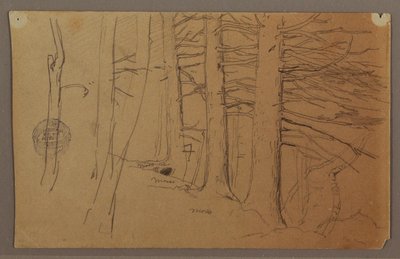 Disegno, parti inferiori di un gruppo di alberi che crescono su un pendio, 1862 da Frederic Edwin Church
