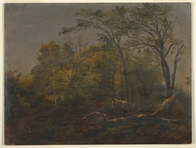 Disegno, Bosco del Maine, 1845-55 da Frederic Edwin Church
