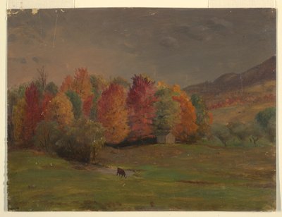 Disegno, costa del Maine o del Canada, 1845 ca. da Frederic Edwin Church