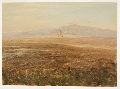 Disegno, paesaggio messicano, aprile 1869 da Frederic Edwin Church