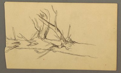 Disegno, sezione centrale di un tronco d