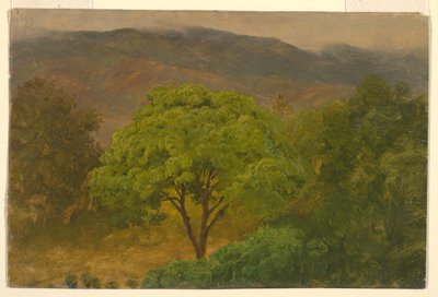 Disegno, Paesaggio montano, agosto 1865 da Frederic Edwin Church