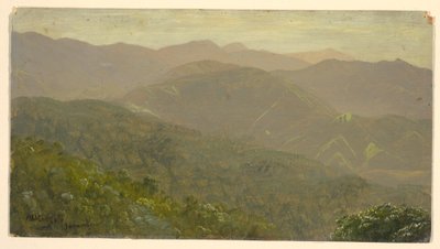 Disegno, Paesaggio montano, agosto 1865 da Frederic Edwin Church