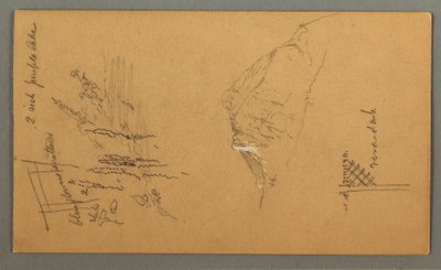 Disegno, Picco di montagna, vegetazione in piscina, 1868 da Frederic Edwin Church