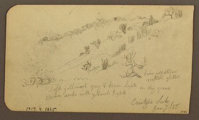 Disegno, Montagna, Zapotlan; verso: Collina boscosa, Lago Cuitzeo, gennaio 1885 da Frederic Edwin Church