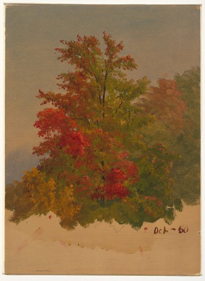 Disegno, Mt. Desert Island , Maine, ottobre 1860 da Frederic Edwin Church