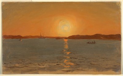 Disegno, Terranova, Testa di gatto, giugno 1859 da Frederic Edwin Church