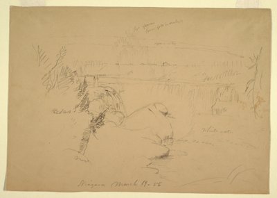 Disegno, Cascate del Niagara, vista dall