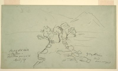 Disegno, parte del vecchio muro di Paestum, con gli ulivi che vi crescono sopra, aprile 1869 da Frederic Edwin Church
