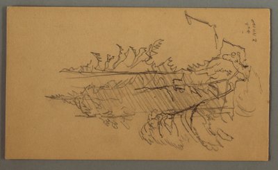 Disegno, Alberi di pino, forse 1868 da Frederic Edwin Church