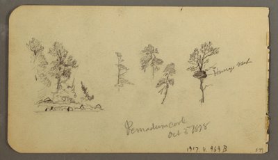 Disegno, Studi sul pino, 1878 da Frederic Edwin Church