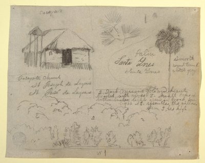 Disegno, chiesa di San José de Lapas, Carapata e studi botanici, probabilmente Colombia, 1853 da Frederic Edwin Church