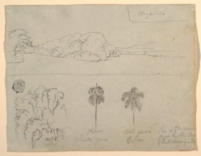 Disegno, schizzi dalla Colombia:  Riva di un fiume o di una baia, e alberi., 1853 da Frederic Edwin Church