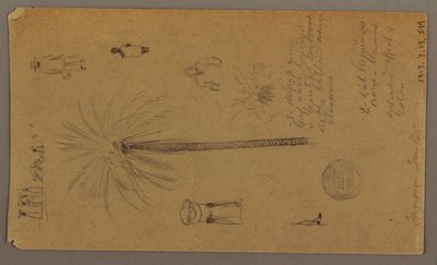 Disegno, schizzi dalla Giamaica, Indie Occidentali, giugno 1865 da Frederic Edwin Church