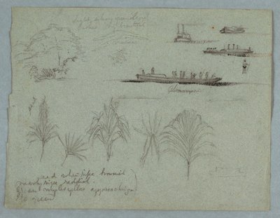 Disegno, Schizzi dal Rio Magdalena, Colombia:  Piante, un battello a vapore e un campagnolo, 1853, probabilmente maggio. da Frederic Edwin Church