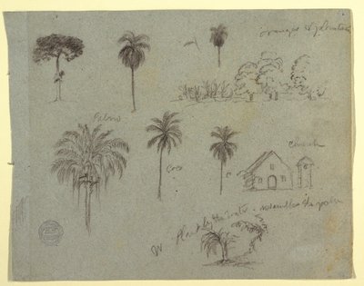 Disegno, Schizzi dal Rio Magdalene, Colombia:  Studi botanici e una chiesa, maggio 1853 da Frederic Edwin Church
