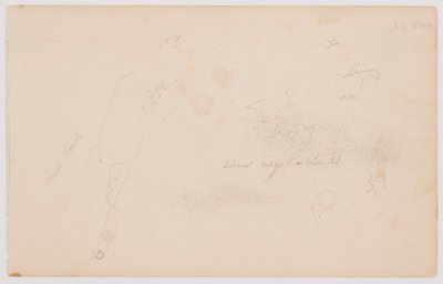 Disegno, Schizzi di nuvole e betulla morta, luglio 1844 da Frederic Edwin Church