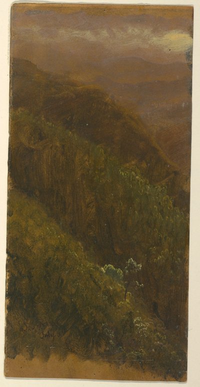 Disegno, Ripido pendio, luglio 1865 da Frederic Edwin Church