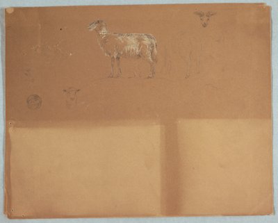 Disegno, Studi di pecore, Ecuador o Colombia, 1853 da Frederic Edwin Church