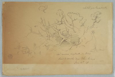 Disegno, Studi di alberi e rocce, Strada per Mocho vicino a Chimborazo, Ecuador, 16 giugno 1857 da Frederic Edwin Church