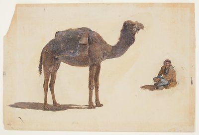 Disegno, Studio di un dromedario, 1868 da Frederic Edwin Church