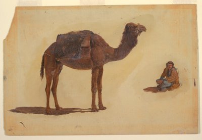 Disegno, Studio di un dromedario, 1868 da Frederic Edwin Church