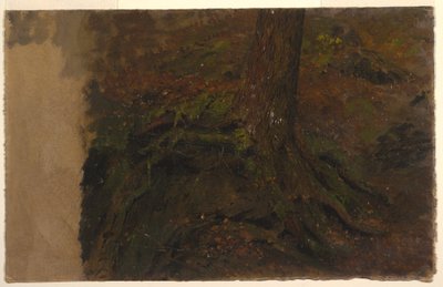 Disegno, Studio di un tronco d