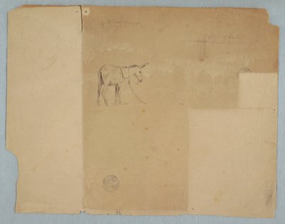 Disegno, un asino legato e un tipo di recinzione, Sud America, 1853 da Frederic Edwin Church