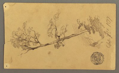 Disegno, albero, 1877 da Frederic Edwin Church