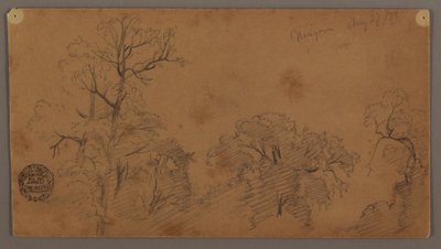 Disegno, cime degli alberi, Niagara, 27 agosto 1856 da Frederic Edwin Church