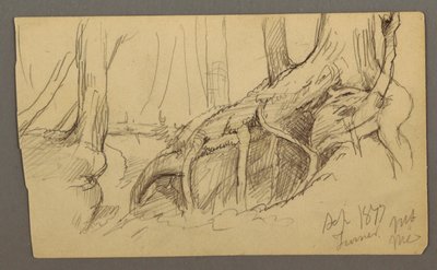 Disegno, radici di un albero che crescono su un masso (Monte Turner), 1877 da Frederic Edwin Church