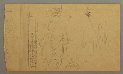 Disegno, Tronco d