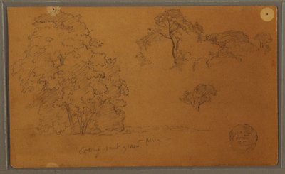 Disegno, Alberi, 1857 da Frederic Edwin Church