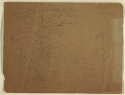 Disegno, Alberi, Isola di Grand Manan, Canada, 1851 da Frederic Edwin Church