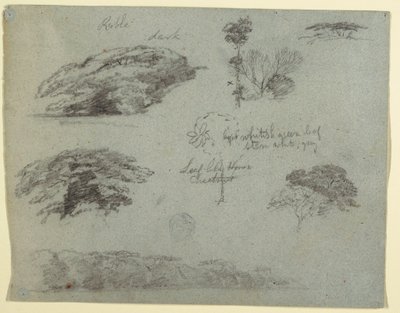 Disegno, Alberi, cime di alberi e una riva boscosa, Saddleback, Maine, 1853 da Frederic Edwin Church