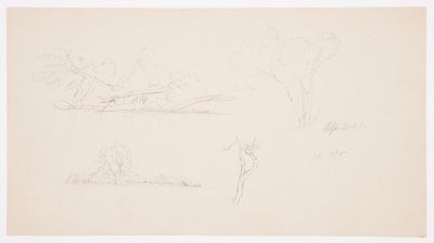 Disegno, Alberi, una riva con cespugli e alberi, settembre 1876 da Frederic Edwin Church