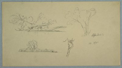 Disegno, Alberi, una riva con cespugli e alberi, settembre 1876 da Frederic Edwin Church