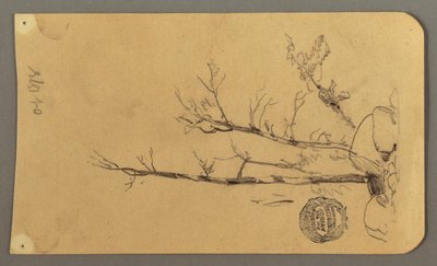 Disegno, Alberi, massi, 1878 da Frederic Edwin Church