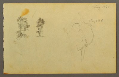 Disegno, Alberi, mucca, 1844 da Frederic Edwin Church